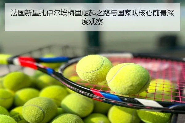 法国新星扎伊尔埃梅里崛起之路与国家队核心前景深度观察 | leyu